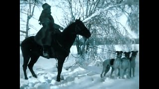 Russian Hunting Dog vs Wolf Borzoi Russian Wolfhound 1910 Documentary [upl. by Libbey]