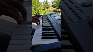 Ragheb alama  Nasini el donya piano cover turkmenistan music piano pianocover korgpa600 Korg [upl. by Finn]