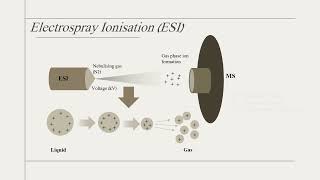 Quickly understand various types of LCMS [upl. by Kamal]