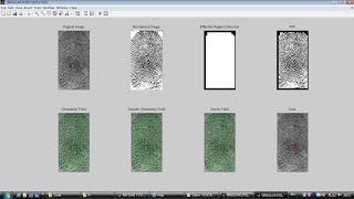 Singular Point Core Detection in Fingerprint Image [upl. by Benedicto370]