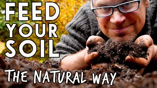 3 Ways to Build Soil Health💛 [upl. by Caundra]