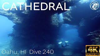 SCUBA How To Dive Cathedral  North Shore Oahu 2024  4k [upl. by Latnahc]