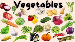 Vegetables name  vegetables name in english  Vegetables name with pictures [upl. by Atsirhc881]