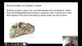 Bioaccumulation and Biomagnification [upl. by Ahsiema]