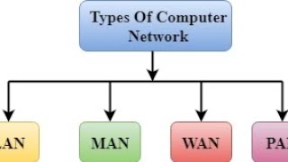 Networking Basics Explained Types of Networks amp MustHave Tools for 2024 [upl. by Gillian]