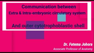 Communication II Intra amp extra embryonic circulatory system II Outer cytotrophoblastic shell Bonus [upl. by Adamo168]