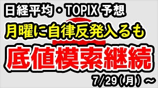 【日経平均・TOPIX】月曜日の上昇がそのまま続くのかは不透明、相場の転換シグナルをしっかり確認する必要性あり【週間日本株予想 2024729～】 [upl. by Landmeier]