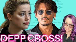 Depp v Heard Trial Day 22 Afternoon  Johnny Depp Cross  Morgan Tremaine amp Elaines 15 minutes [upl. by Brade]