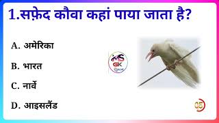 सफेद कौवा कहाँ कहाँ पाया जाता है general knowledge part 41 [upl. by Kcir]