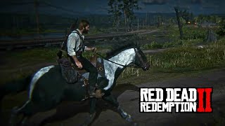 DAngelo quotUnshakenquot  Red Dead Redemption 2 [upl. by Erdnaxela]