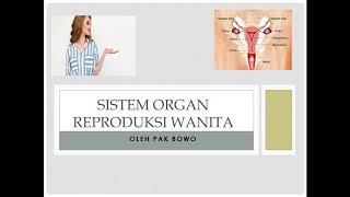 SISTEM REPRODUKSI  ORGAN REPRODUKSI WANITA [upl. by Nhar]