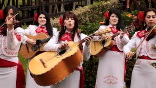 Mariachi Divas de América Mi padre es el mejor [upl. by Sarad]