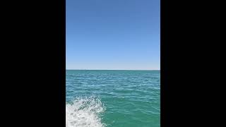 Ningaloo Coast pt 1 shorts fishing squid squidding [upl. by Salim458]