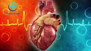 El Ecocardiograma en Cardiopatía Isquémica [upl. by Wilsey776]