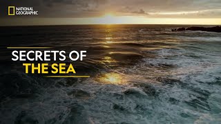 Secrets of the Sea  Hostile Planet  Full Episode S01E02  हिन्दी  National Geographic [upl. by Garry]