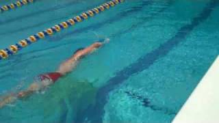 Coach Robb Swimming Catch Up Drill [upl. by Tiffani]