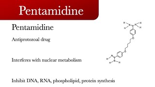 Pentamidine [upl. by Goodrow552]