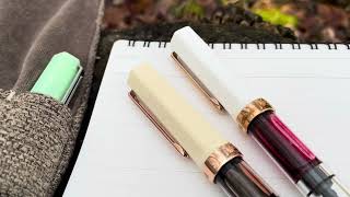 Another UNpopular opinionthe New TWSBI ECO Cream with Rose Gold Fountain Pen [upl. by Grussing]