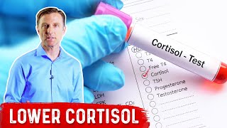 How To LOWER Cortisol Levels – Dr Berg [upl. by Ortensia299]