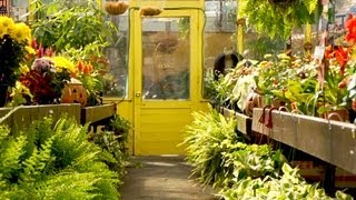 New Gardeners Guide to Shopping at a Garden Center [upl. by Sillig147]