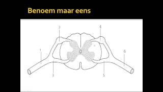 oefenen voor toets [upl. by Venezia]