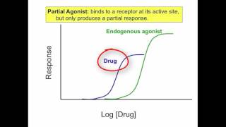 Agonist Antagonist Partial Agonist Inverse Agonist [upl. by Sybley]