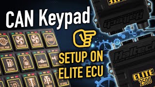 🛠 How to set up a CAN Keypad with Elite ECU  TECHNICALLY SPEAKING [upl. by Ttegirb]