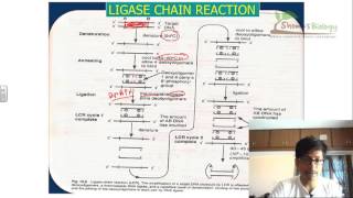 Ligase chain reaction LCR [upl. by Halimeda183]