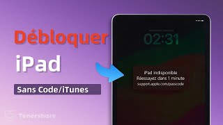 Comment Déverrouiller liPad sans Code ou iTunes 2024 [upl. by Dlanod189]