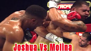 Anthony Joshua Vs Eric Molina TKO highlights [upl. by Orji]