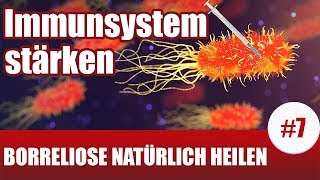 BorrelioseTherapie  Diese Pflanzen stärken dein Immunsystem Borreliose Behandlung natürlich 7 [upl. by Charleen810]