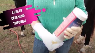 Sheath Cleaning Tutorial for Horses [upl. by Nnalatsyrc756]