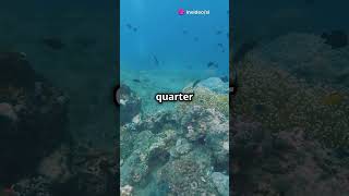 How Do Coral Reefs Form 🌊🐠 [upl. by Noskcaj]