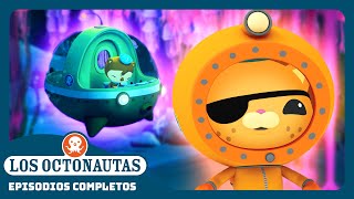 Los Octonautas  🎐 El enjambre de medusas 🦦  Temporada 1  Episodios Completos [upl. by Pownall]