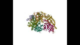 The Structural Basis for Cdc42Induced Dimerization of IQGAPs [upl. by Jezabel]