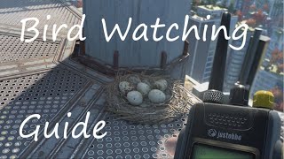 Dying light 2 Side Quest Bird Watching Guide [upl. by Flight]