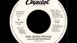 New Grass Revival  Callin Baton Rouge [upl. by Aerbma508]