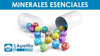 10 MINERALES ESENCIALES para la SALUD de tu Organismo 💪👨‍⚕️✅  QueApetito [upl. by Ddet]