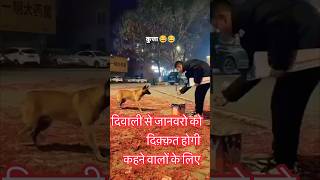 दिवाली में जानवरो पर GYAN BANTNE वालों के लिए diwali festival trending shorts [upl. by Bounds]