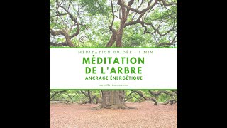 Ancrage énergétique de 5 min  Méditation de larbre  Méditation courte guidée  Méditation ancrage [upl. by Keary]