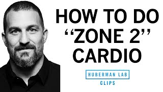 How amp Why to Get Weekly quotZone 2quot Cardio Workouts  Dr Andrew Huberman [upl. by Slavic]