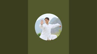 Medical QiGong TaiChi with Ping [upl. by Rabaj]