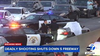 2 killers on the run after deadly 5 Freeway shooting Heres what we know [upl. by Natsuj739]