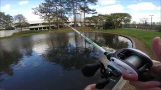 Fishing with the Lews Mach 1 Baitcasting Combo [upl. by Amisoc583]