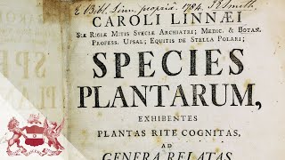 Linnean Lens Carl Linnaeus Species Plantarum and Naming Nature [upl. by Une]