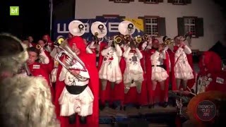 LupoRueche FasnachtClip «Shake It Off» Liestal 2016 [upl. by Alia]