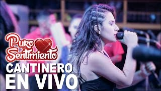 Cantinero Puro Sentimiento Concierto Chiclayo Primicia 2017 4k [upl. by Navlys]