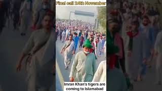 24 November Final Call Imran Khan Coming to Islamabad PTI Tiger duet imrankhan [upl. by Demetra]