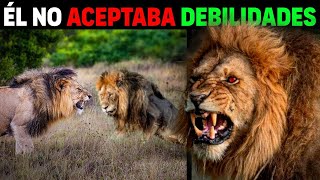 La Naturaleza CREA MONSTRUOS  Leones Rekeros DOCUMENTAL COMPLETO [upl. by Ylrad602]