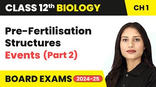 PreFertilisation Structures and Events Part 2  Class 12 Biology Chapter 1  CBSE 202425 [upl. by Eusadnilem]